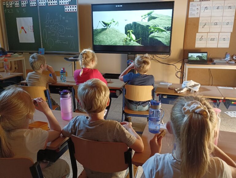 Samen met Thibault naar een film kijken via Bednet (3)